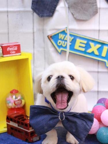 20230414エイトくん